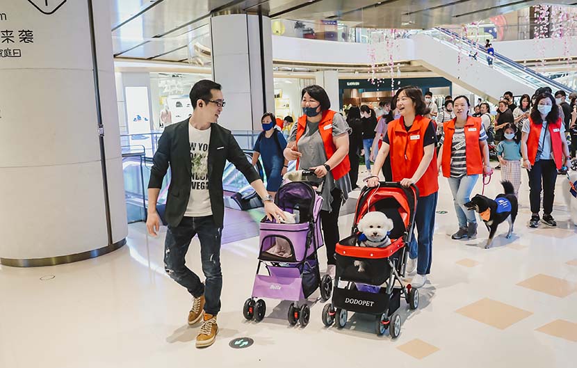 Participants in an animal-assisted therapy event escort their dogs through the shopping mall of the Bund Finance Center in Shanghai, May 17, 2020. Courtesy of the Bund Finance Center