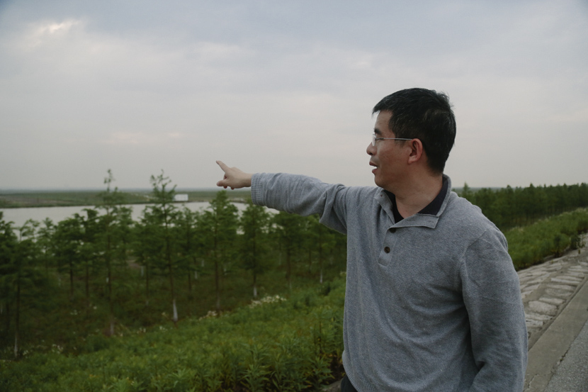 Zhang Dongsheng points to the wetland of Nanhui Dongtan, Shanghai, May 15, 2020. Li You/Sixth Tone