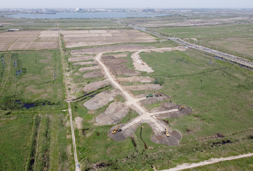 Bulldozers flatten a stretch of marshland for a massive tree-planting project in Nanhui Dongtan, Shanghai, May 13, 2020. Courtesy of Shengtai Nanhui