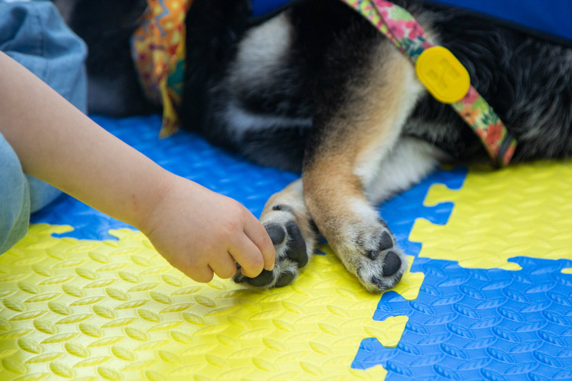 A child touches a dog during an animal-assisted therapy session in Shanghai, June 1, 2020. Shi Yangkun/Sixth Tone