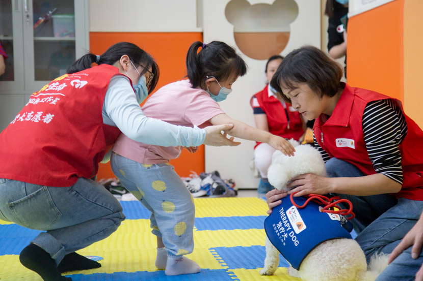A girl plays with a therapy dog at a rehabilitation center in Shanghai, June 1, 2020. Shi Yangkun/Sixth Tone