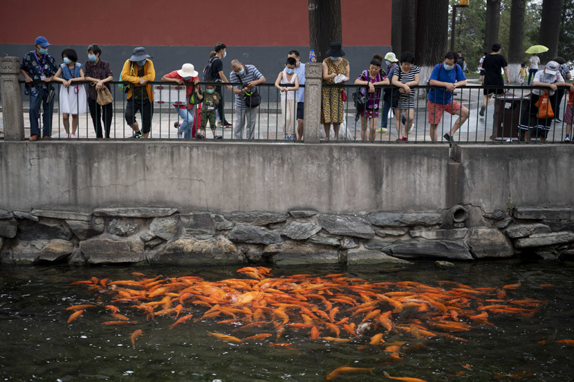 Visitors watch as koi feed at Beihai Park in Beijing, July 4, 2020. IC