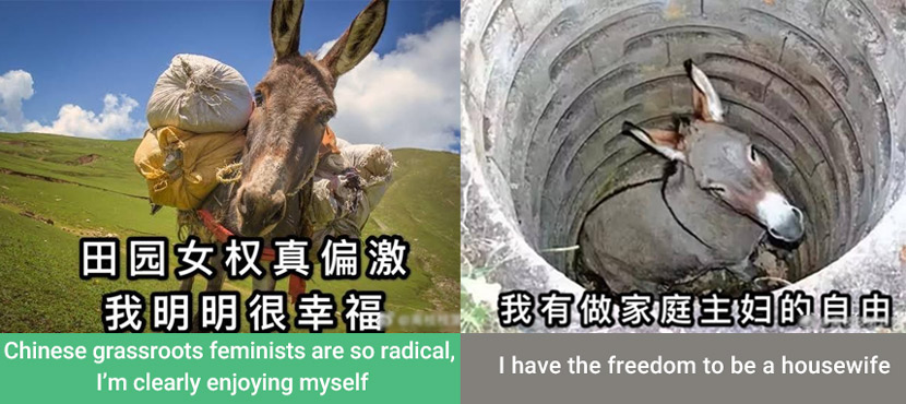 Memes made by radical feminists on Weibo satirizing “married donkeys.” From @离枝枝第五季 on Weibo
