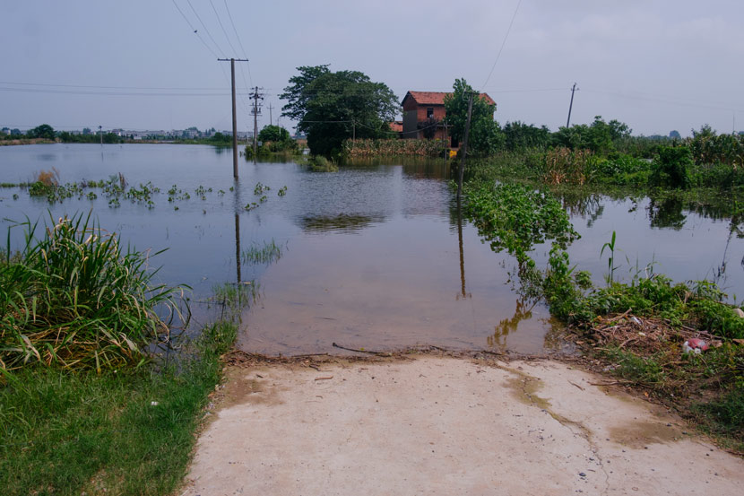 A flooded road in Jiangzhou Town, Jiangxi province, July 14, 2020. Wu Huiyuan/Sixth Tone