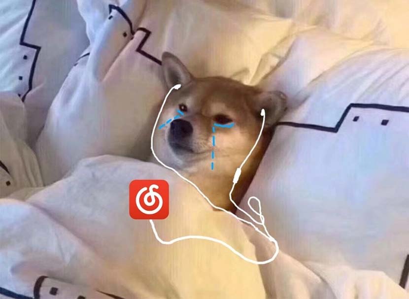 A meme of a dog crying while listening to NetEase Cloud Music. From Weibo