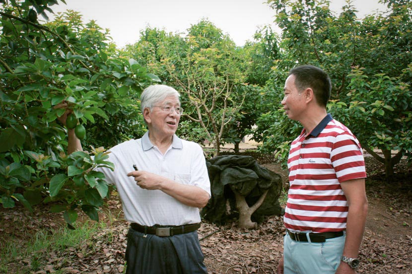 Tropical agriculture expert He Guoxiang (left) talks to Xiong Guanshui in Nanning, Guangxi Zhuang Autonomous Region, March 9, 2017. Chen Na/Sixth Tone