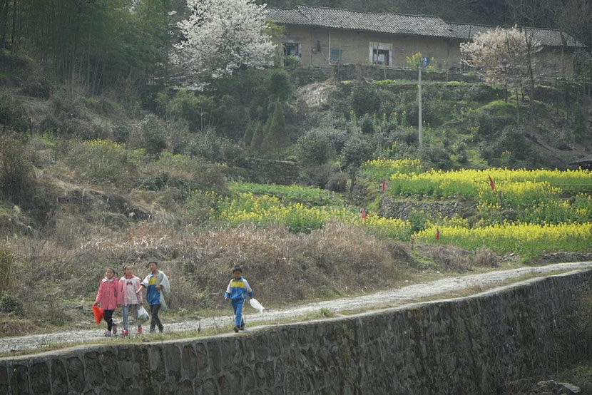 Children walk along a countryside road in Ankang, Shaanxi province, March 11, 2017. Chen Xi/Sixth Tone