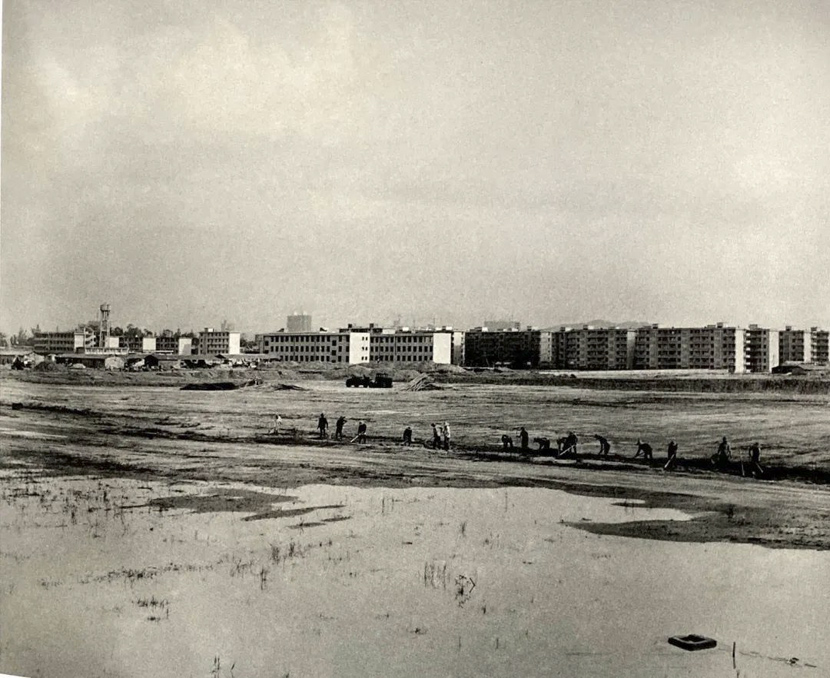 A view of Huaqiangbei area in Shenzhen, Guangdong province, 1981. Tang Benchi via Shenzhen Art Museum