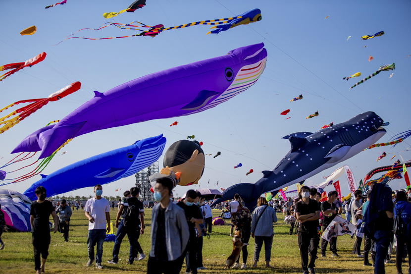 Kites flutter in the air during the 37th Weifang International Kite Festival in Weifang, Shandong province, Sept. 26, 2020. Miao Lu/People Visual