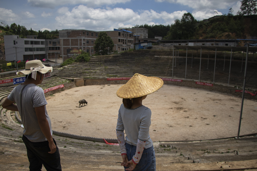 Huang Fei (left) and her older brother Huang Chao visit a bullfight arena in Guangshun Town, Guizhou province, October 2020. Kenrick Davis/Sixth Tone
