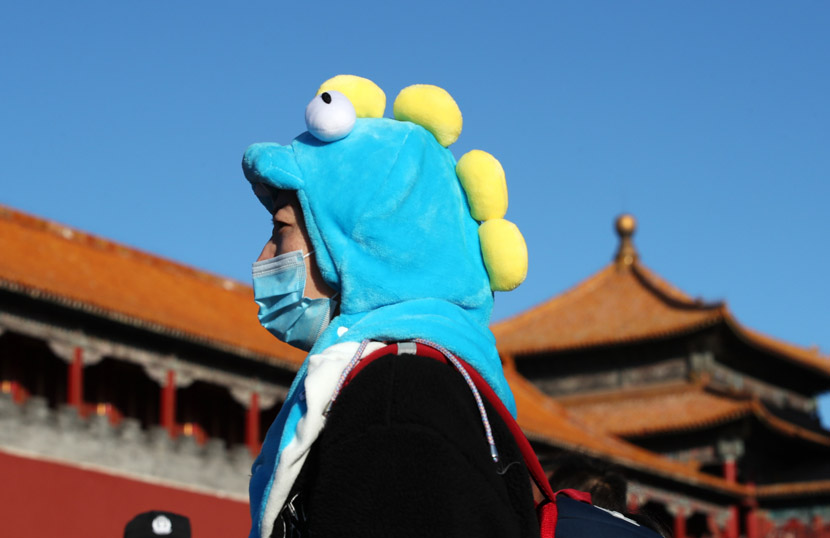 A woman wearing a dinosaur hat stands outside the Palace Museum in Beijing, Nov. 8, 2020. IC