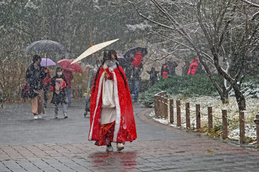 On the city’s first snow day ahead of winter, a woman in traditional “hanfu” clothing walks through the botanical garden in Beijing, Nov. 21, 2020. Wang Xibao/IC
