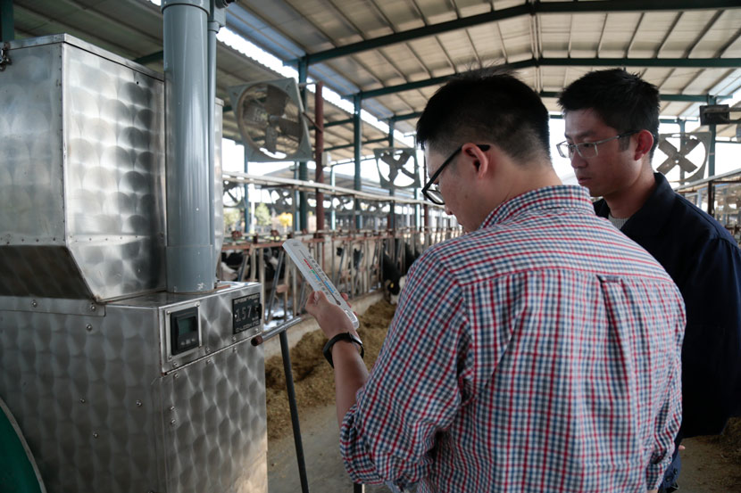 Dong Lifeng (left) and Jia Peng check the gauges on the Yinxiang Weiye dairy farm’s gas flux quantification equipment in Heze, Shandong province, Nov. 6, 2020. Li You/Sixth Tone
