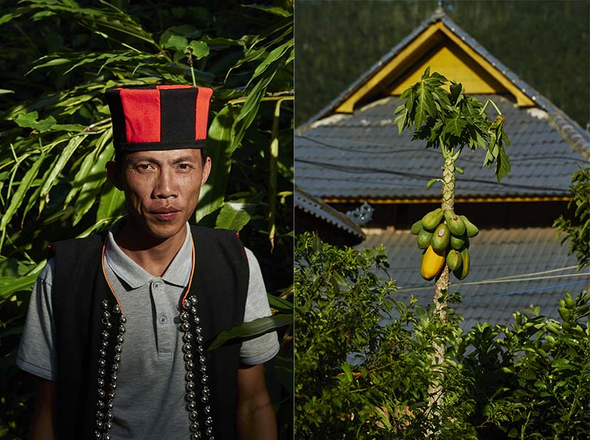 Left: A portrait of Huang Zhicheng, wearing a traditional Yao ethnic hat; right: A papaya tree in Hebian Village, Yunnan province, Nov. 1, 2020. Wu Huiyuan/Sixth Tone