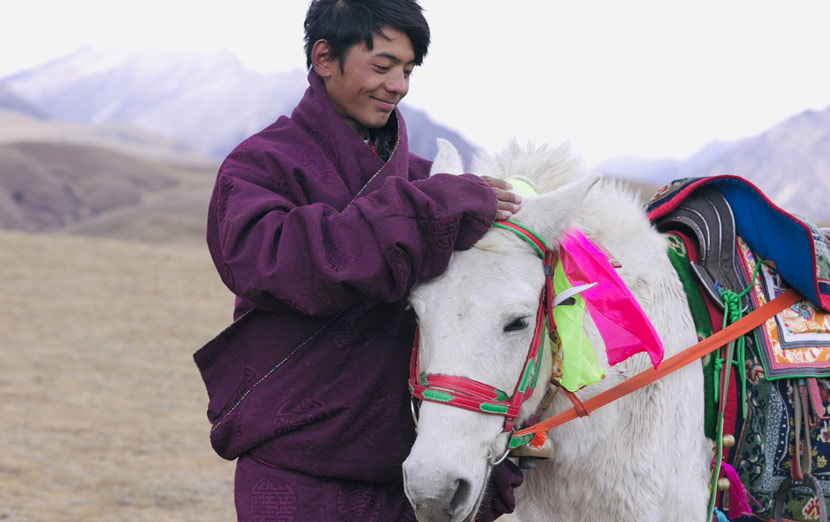 Tenzing Tsondu and his horse in Litang County, Sichuan province, 2020. From @时差岛 on Weibo