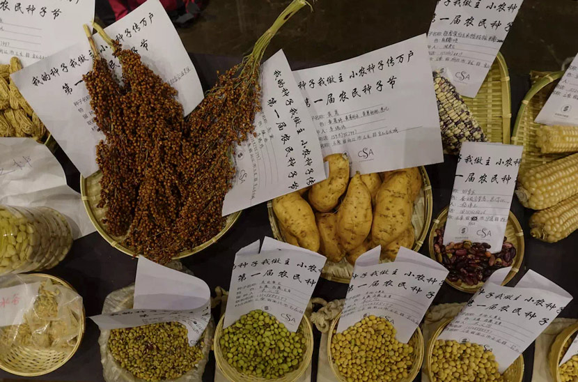 A view of seeds on display at an event in Beijing, 2019. From @北京农夫市集 on Weibo