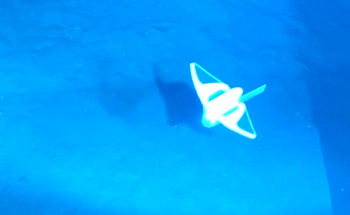A GIF shows front and top views of the research team’s fish-like robot for deep-sea exploration. Courtesy of Zhejiang University
