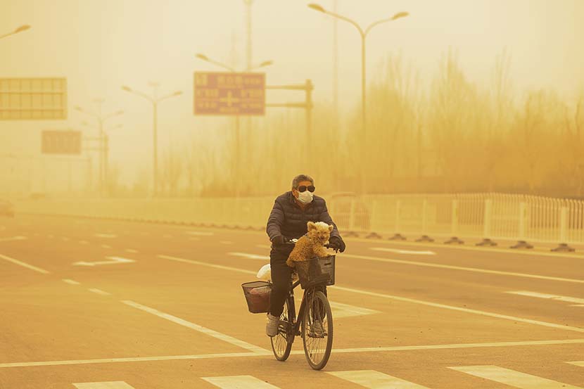 A man wearing sunglasses and a protective mask cycles with his dog during a sandstorm in Beijing, March 15, 2021. Getty Images/People Visual