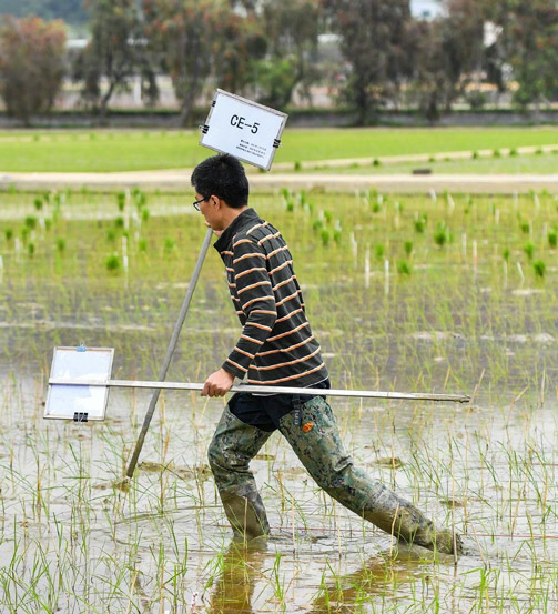A young scientist attempts to mark a field containing seeds from the Chang’e 5 spacecraft in Guangzhou, Guangdong province, March 29, 2021. Liu Dawei/Xinhua