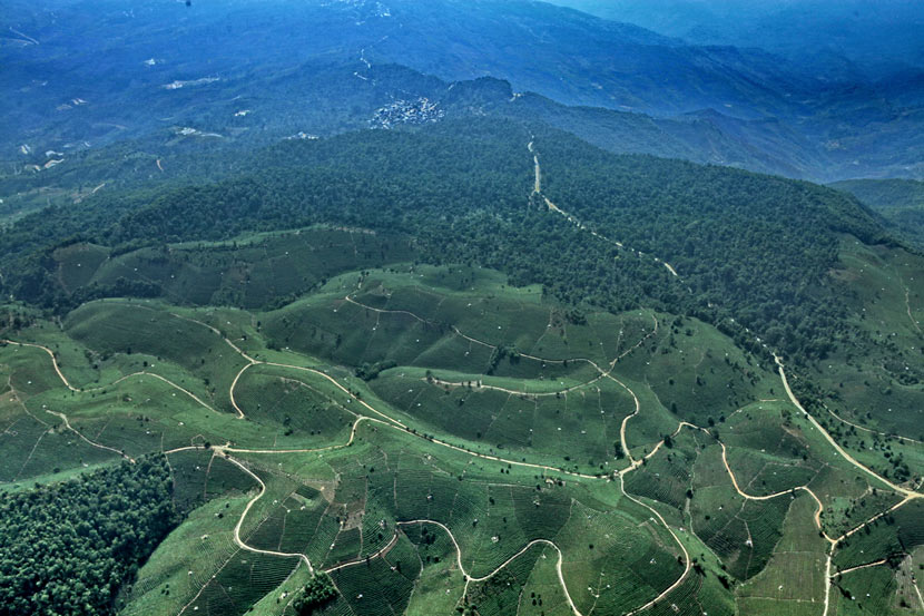 An aerial view of the mountains around Pu’er, Yunnan province, 2010. Courtesy of the China Biodiversity Conservation and Green Development Foundation