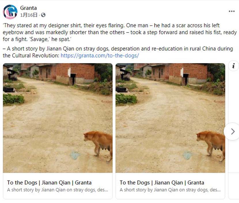 A screenshot of a social media post by literary magazine Granta, announcing the publication of Jia’nan Qian’s short story “To The Dogs.”  From Facebook
