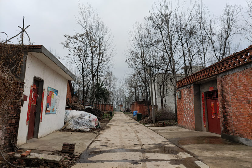 The bride’s hometown of Zhuwa Village in Henan province, March 2021. Zhou Hang for Sixth Tone