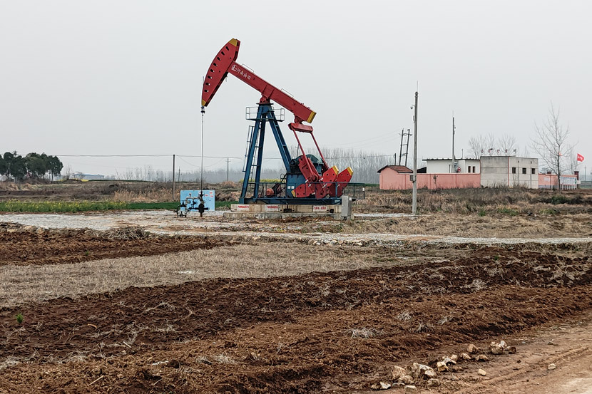 An oil rig works in a field in Hegang Village, Henan province, March 2021. Zhou Hang for Sixth Tone