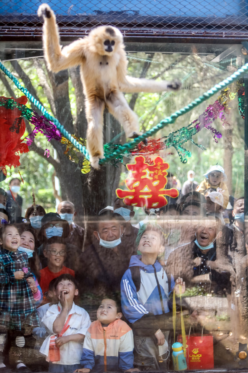 Families look at a gibbon in a zoo in Jinan, Shandong province, May 2, 2021. The zoo’s staff reportedly held a “wedding” for two of the gibbons. People Visual
