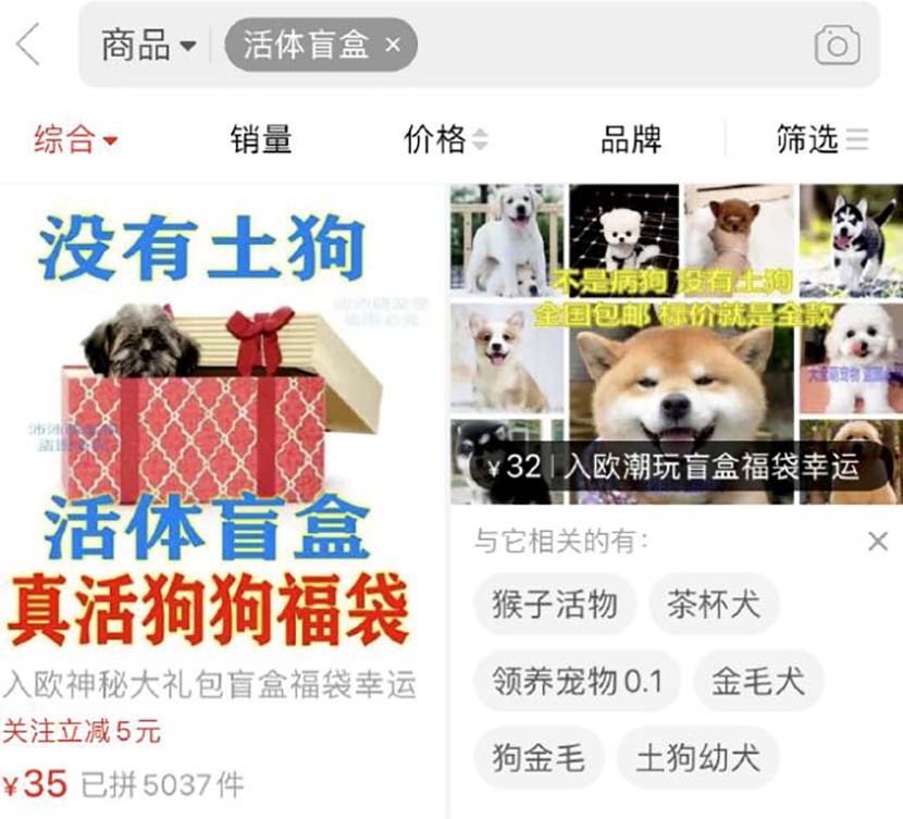 A screenshot shows a store advertising pet blind boxes on an e-commerce platform. From @天眼新闻 on Weibo