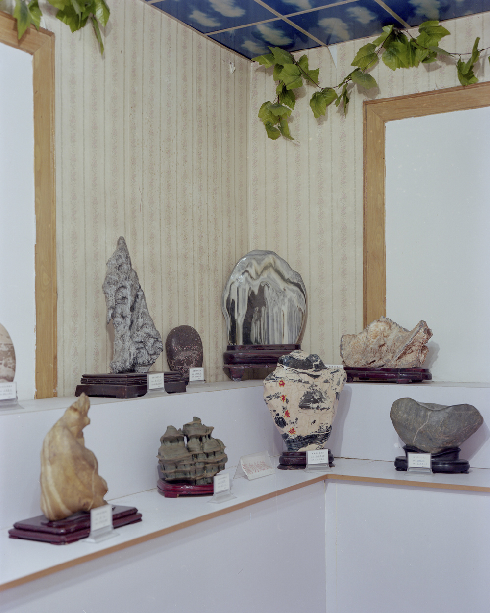 An exhibition showing stones collected from the forest park in Dazhai Village, Shanxi province, April 19, 2021. Shi Yangkun/Sixth Tone