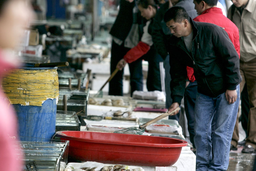 A customer examines the offerings at a market in Shanghai, April 9, 2008. Zhang Dong for Sixth Tone