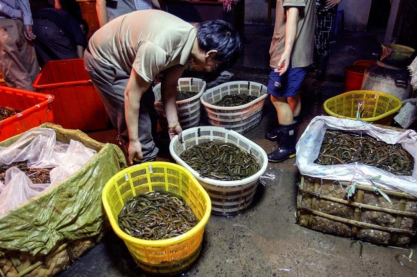 Eels sit in baskets at a market in Shanghai, July 13, 2005. Zhang Dong for Sixth Tone
