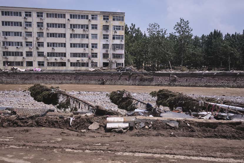 Toppled trees after record rainfall in Mihe Town, Henan province, July 24, 2021. Wu Huiyuan/Sixth Tone