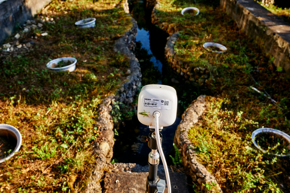 A camera used to monitor Chinese giant salamanders inside a pond that mimics natural conditions on the premises of the Zhangjiajie Giant Salamander National Nature Reserve Management Bureau, Hunan province, September 2021. Wu Huiyuan/Sixth Tone