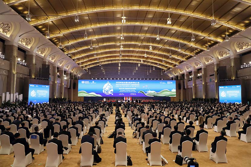 A view of COP15 conference in Kuming, Yunnan province, Oct. 11, 2021. IC