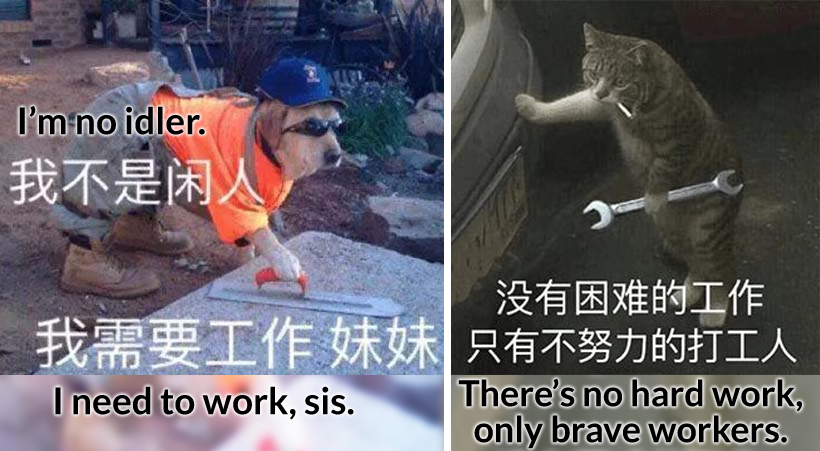 Two “laborer” memes featuring animals. From Weibo
