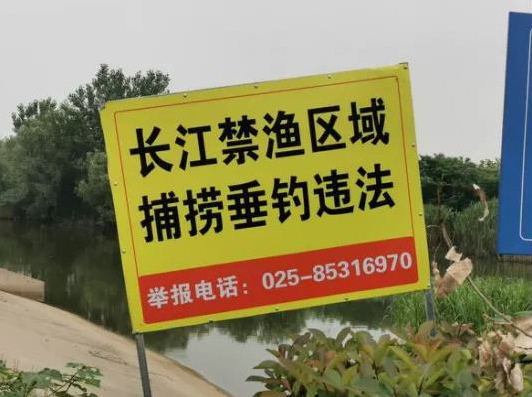 A sign promoting the ban on fishing is seen in Baguazhou, Nanjing, Jiangsu province, 2021. Courtesy of NJU Xinjizhe
