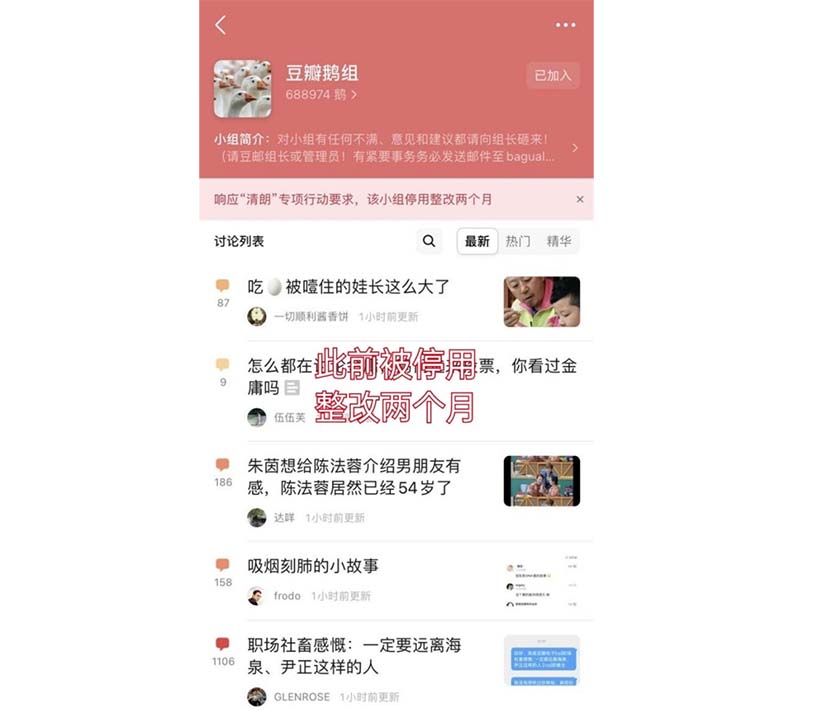 A screenshot from Douban shows 豆瓣鹅组, one of the most popular gossip groups.
