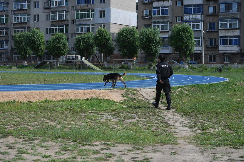 A dog and a trainer at the Criminal Investigation Police University in Shenyang, Liaoning province, June 7, 2021. People Visual