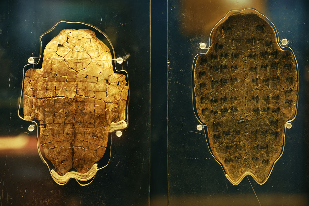 Turtle plastrons on display at the Yin Ruins Museum in Anyang, Henan province. Zhou Jiansheng/People Visual
