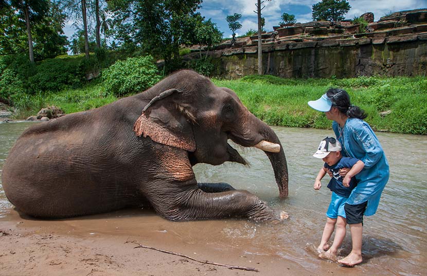 A mother holds on to her son as they approach an elephant during their trip to Thailand, June 22, 2017. Hou Kaiyu/IC