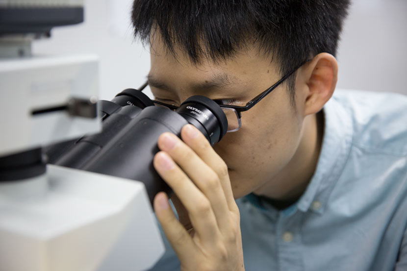 Researcher Jiang Tao looks through a microscope at his lab in Suzhou, Jiangsu province, Oct. 10, 2017. Shi Yangkun/Sixth Tone