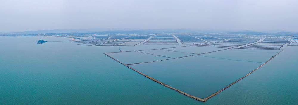 An aerial view of a sea cucumber farm in Xianyuwan Town, Liaoning province, September 2021. Courtesy of the Xianyuwan Town Sea Cucumber Farm