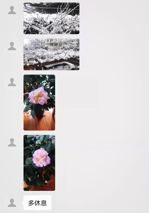 A screenshot shows photos sent by Liu Qing’s husband of snowy landscapes and pink camellias on Jan. 4, 2022. Courtesy of Liu Qing