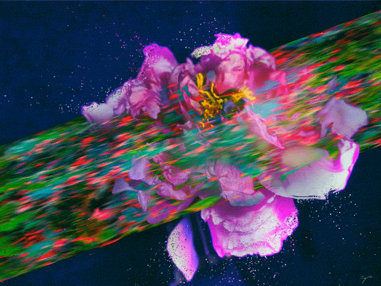 A GIF shows visual elements from Song Ting’s work “Peony Dream.” Courtesy of Song Ting