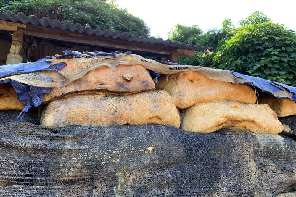 Slabs of processed latex stored in a rubber plantation in Xishuangbanna, Yunnan province. Courtesy of Peter Mortimer