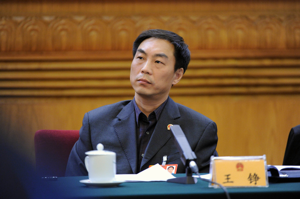 Wang Zheng attends the first session of 12th National People’s Congress in Beijing, 2013. Gao Hongjie/VCG