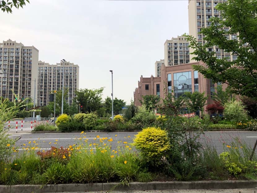 Weeds grow in a road median in Shanghai, May 2022. Courtesy of Feng Jing