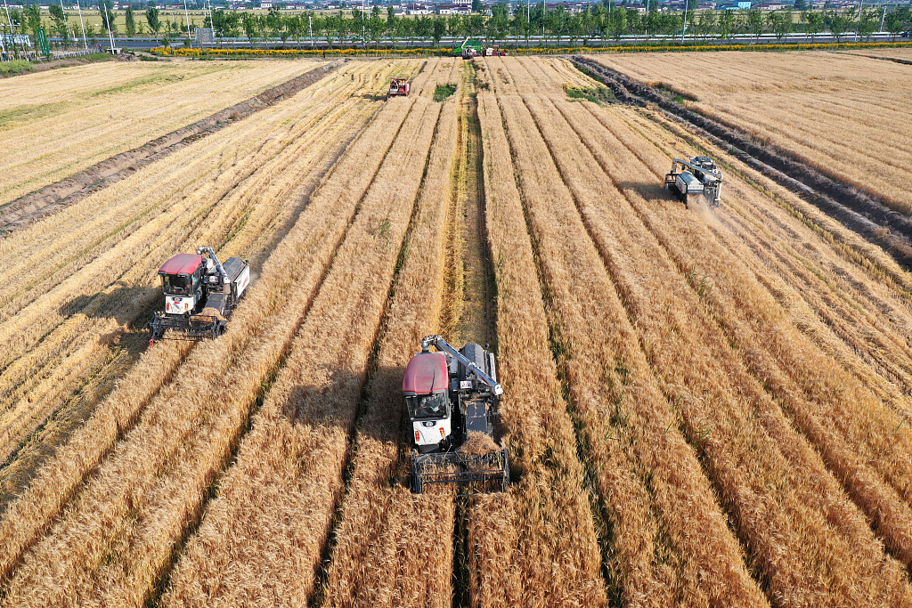 Harvesters in a wheat field in Yancheng, Jiangsu province, May 20, 2022. VCG