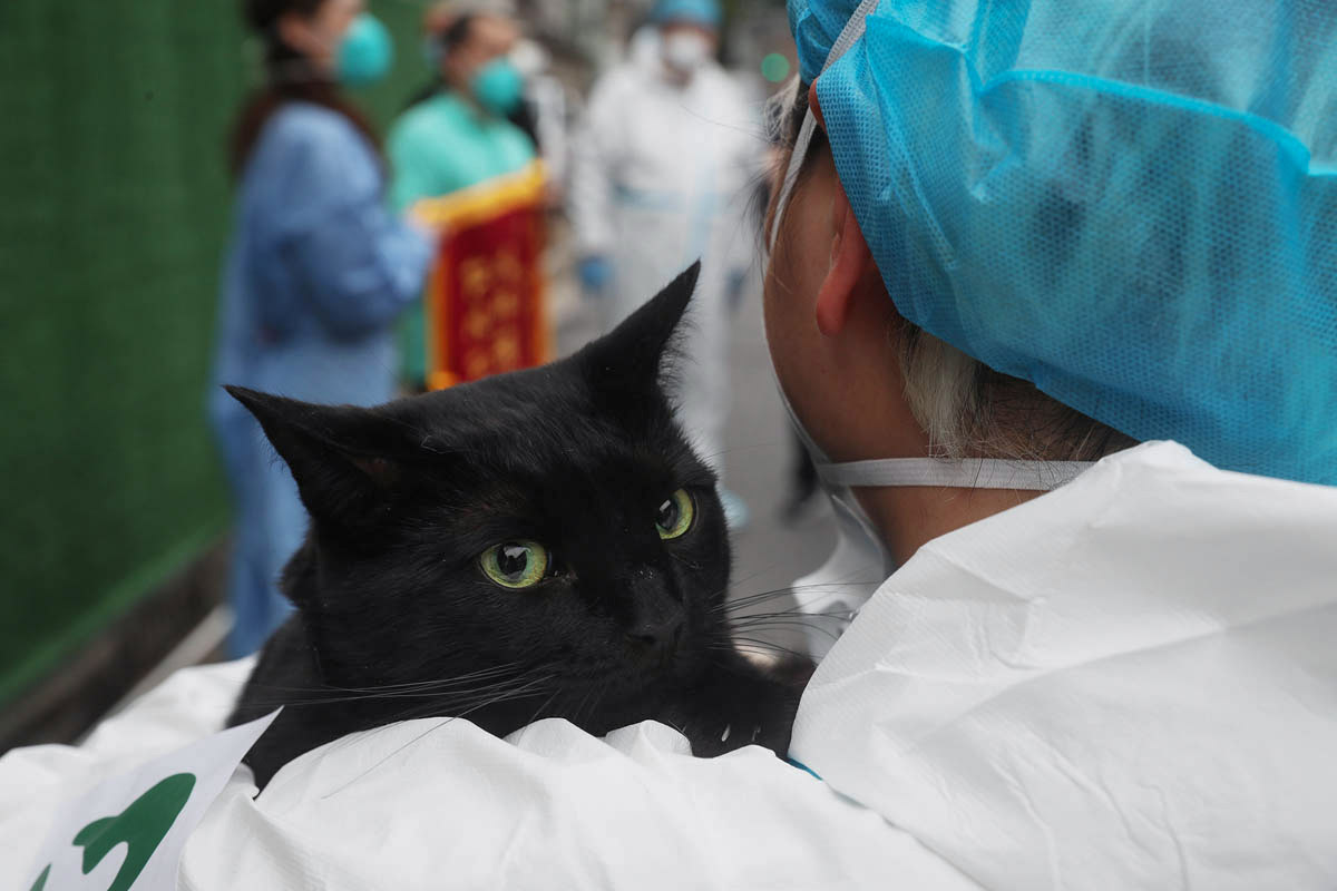 A cat is held by a volunteer outside the shelter, while some members of staff pose for a photo celebrating the closure of the shelter, May 26, 2022. Zhang Hengwei/CNS/VCG